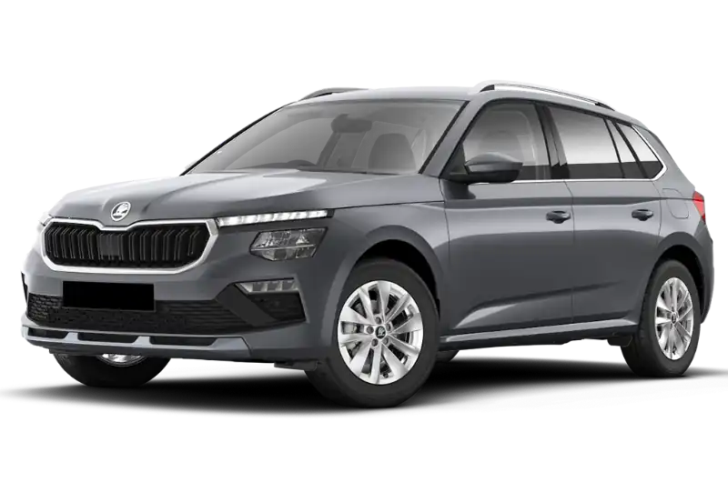 Skoda Kamiq — foto 11